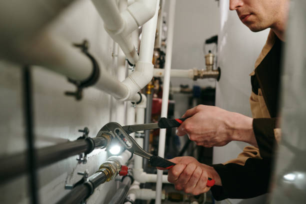 Best Local Plumber Services  in Homer, MI