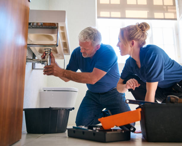 Best 24-Hour Plumber Near Me  in Homer, MI