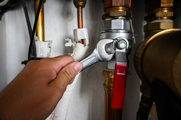 Best Affordable Plumbing Services  in Homer, MI